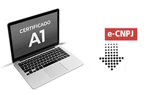 e-CNPJ A1 Teste